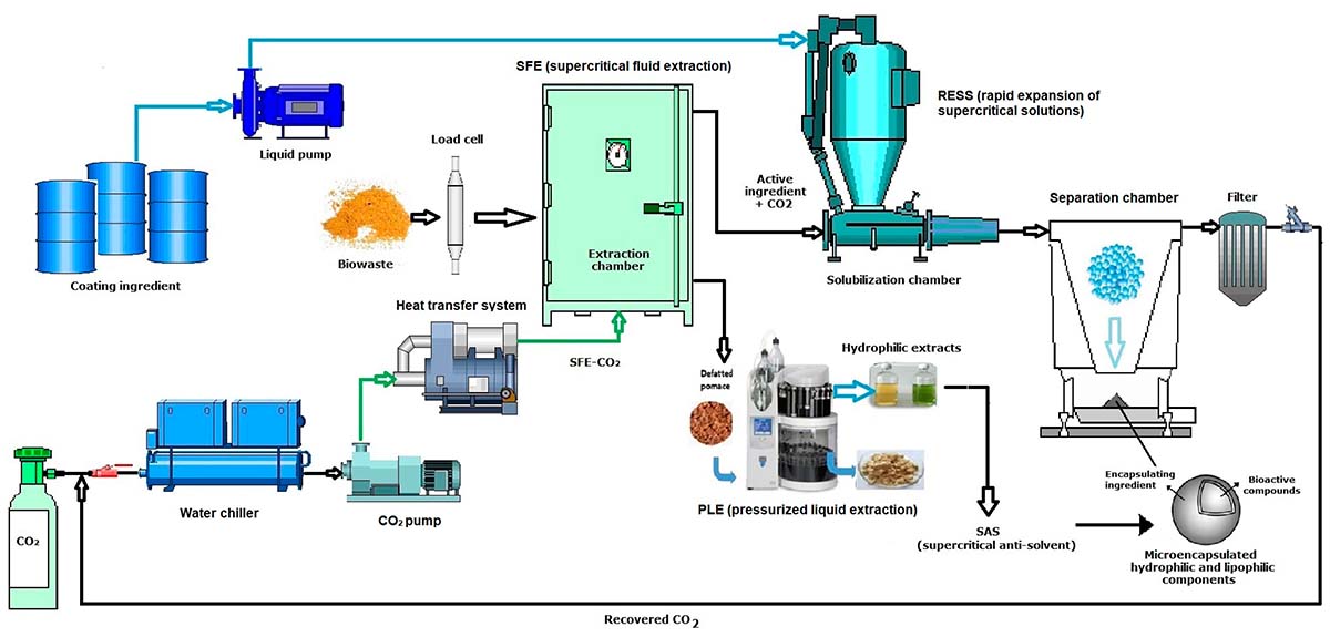 supercritical fluid extraction