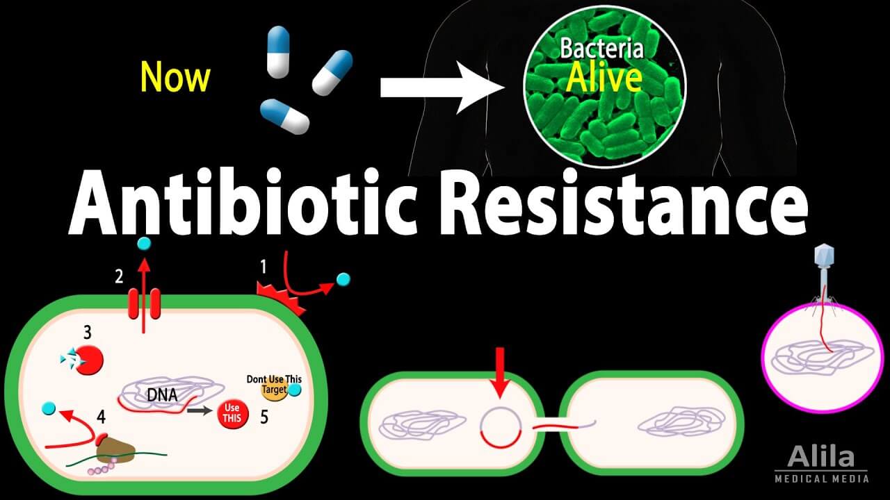 Antibiotic Resistance