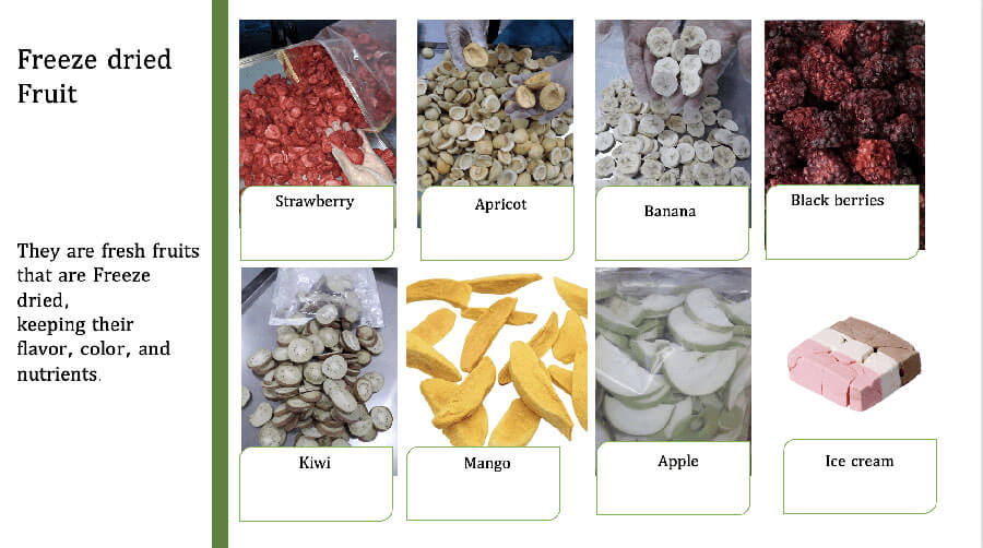Various freeze-dried products like fruits, pharmaceuticals, and flowers