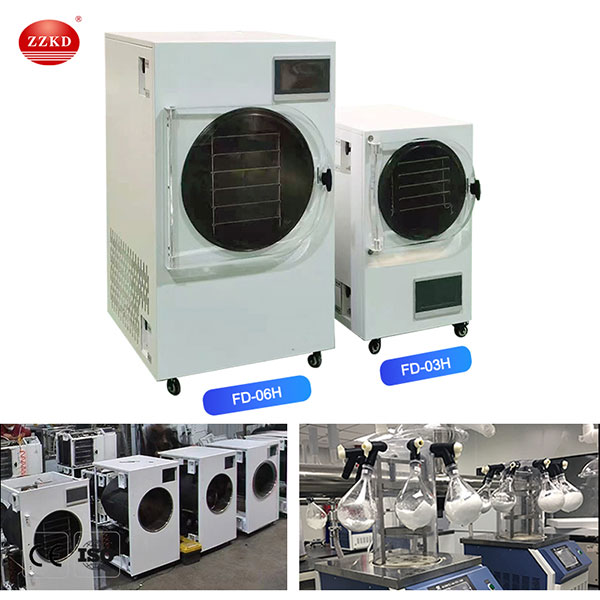 Multifunctional Vacuum Freeze Dryer Machine For Vegetable Fruit