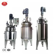 Stainless Steel Reactor Vessel For Sale