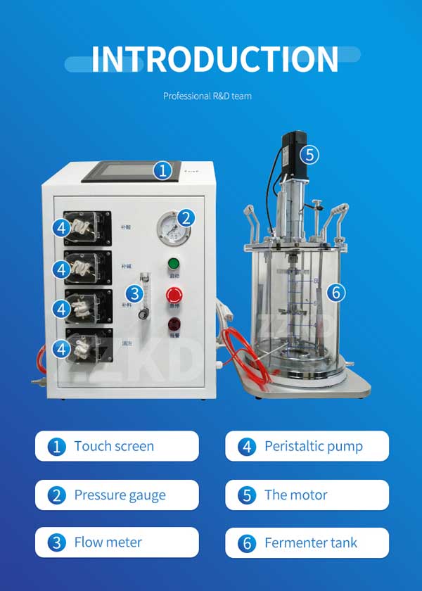 structure of laboratory scale bioreactor