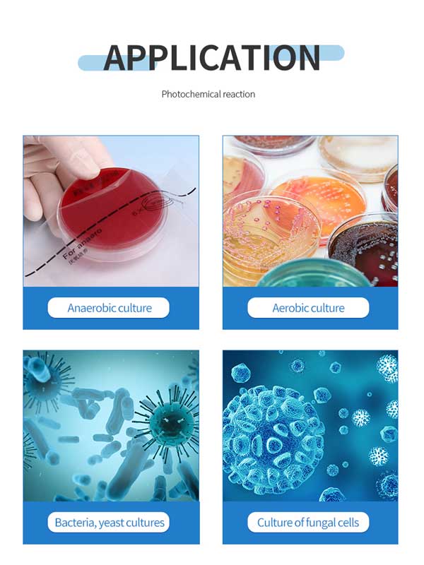 application of laboratory scale bioreactor