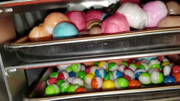 Home freeze dryer for candy, how to freeze dry candy, freeze dried