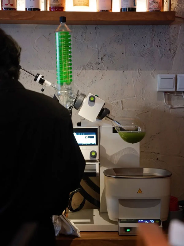 plant extraction using mini rotary evaporator