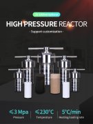 High-Pressure Temp Autoclave Reactor Polymer Lined: Unveiling the Innovation