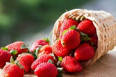 Unveiling the Potential of Solvent Extracted Strawberry Extract