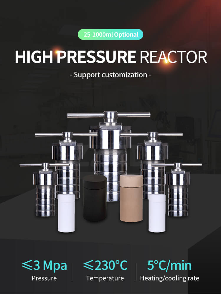 high pressure autoclave reactor