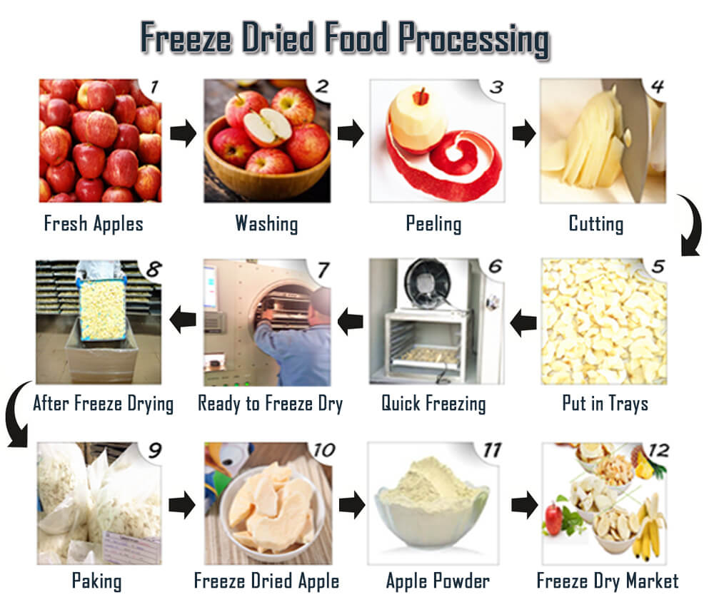 Freeze-drying process explained Diagram showing freeze-drying process steps