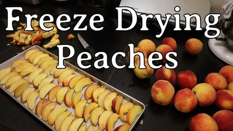Preparing fruit for freeze dryer Fresh fruits sliced and ready for freeze-drying