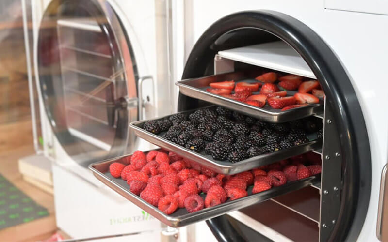 Operating a Keda freeze dryer User loading trays into a ZZKD freeze dryer