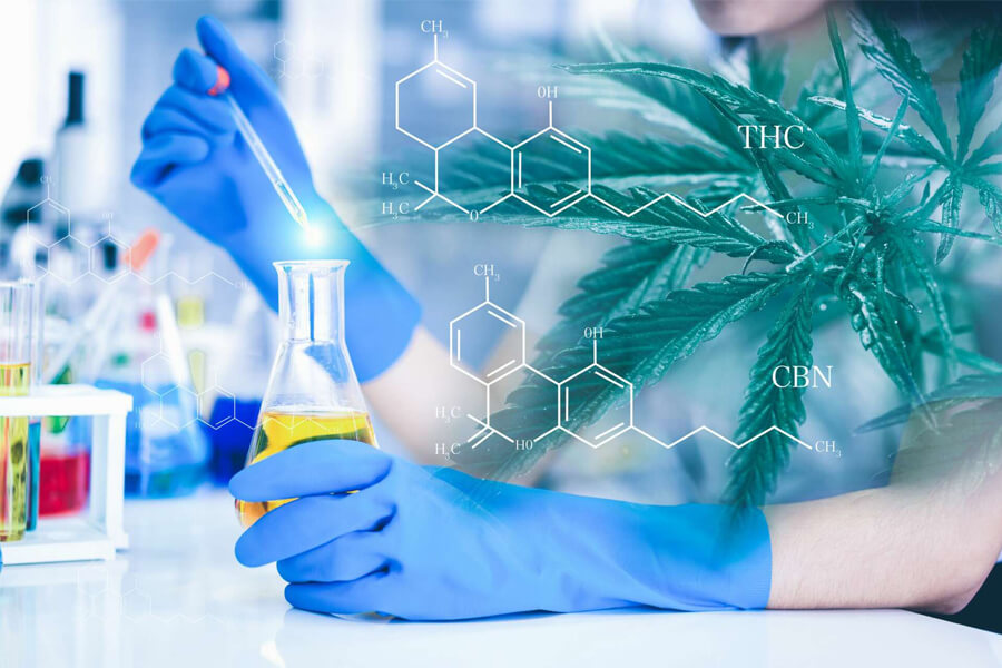 Choosing Cannabinoid Extraction Equipment consultation with an expert over cannabinoid extraction equipment blueprints