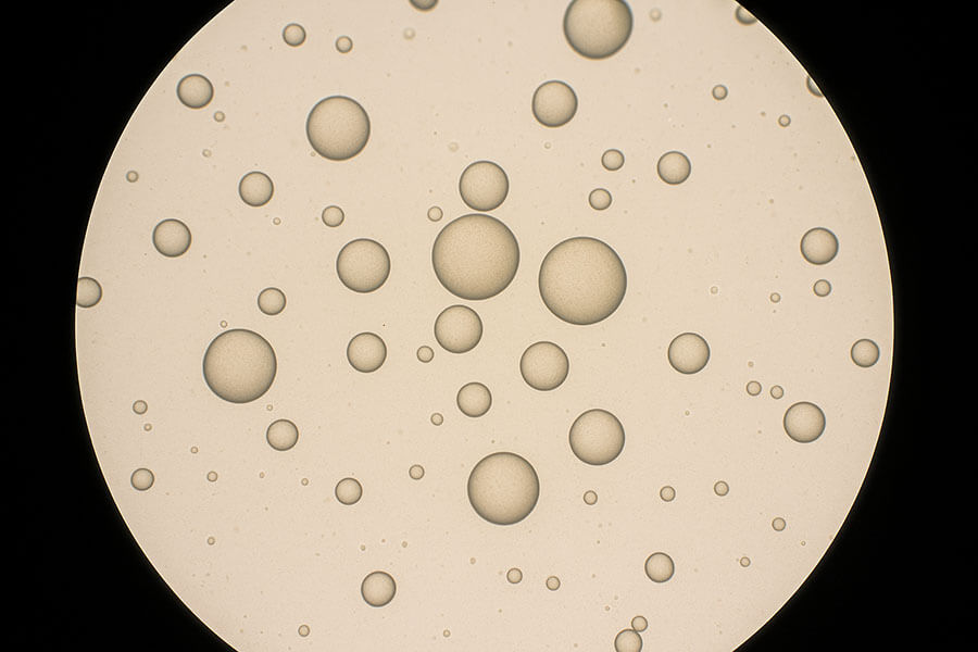 spray dried milk powder particles under microscope