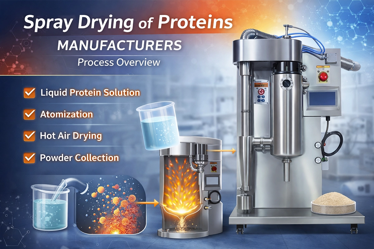 spray drying of proteins manufacturers laboratory spray dryer process
